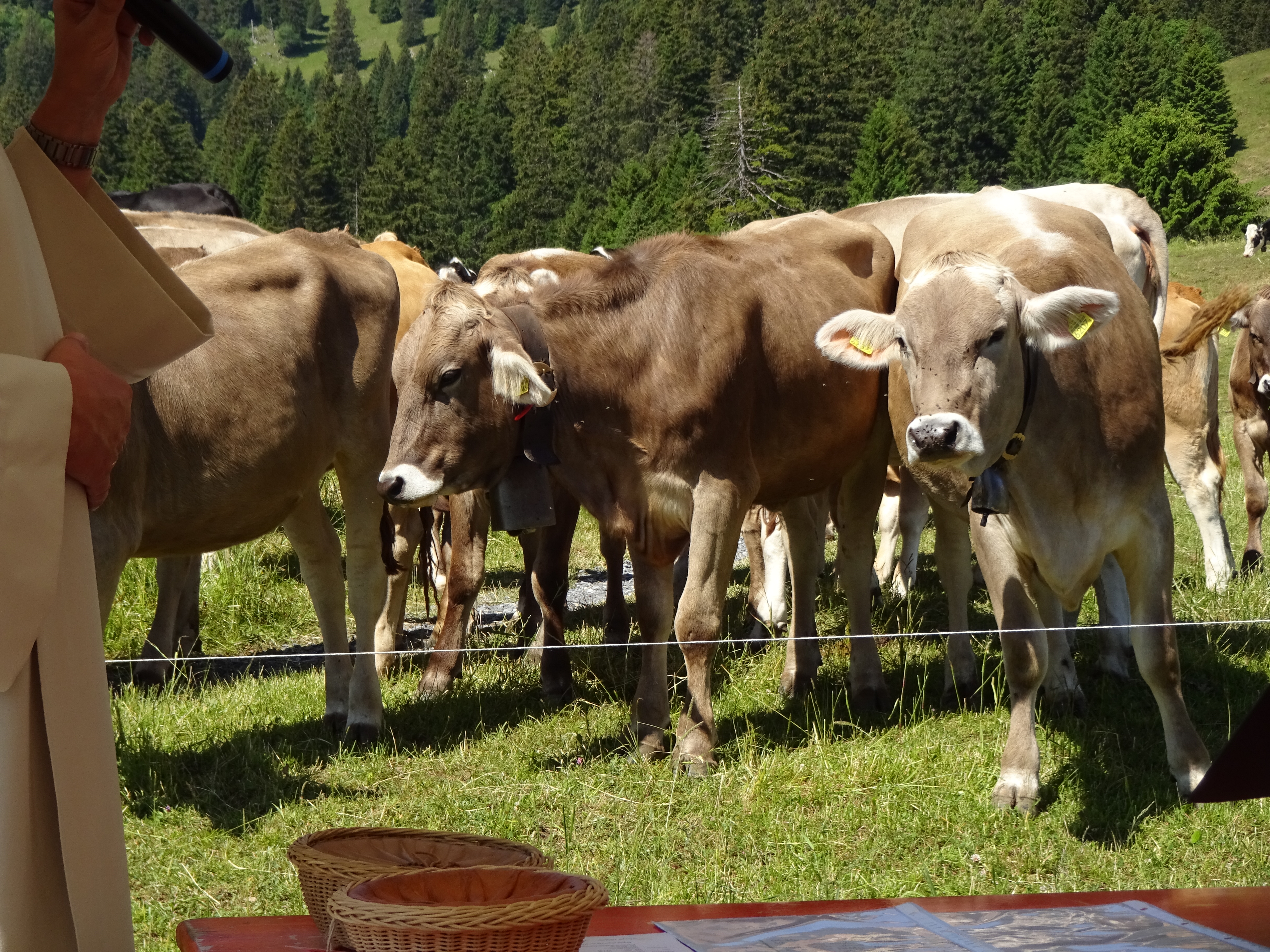 Ökumenischer Berggottesdienst