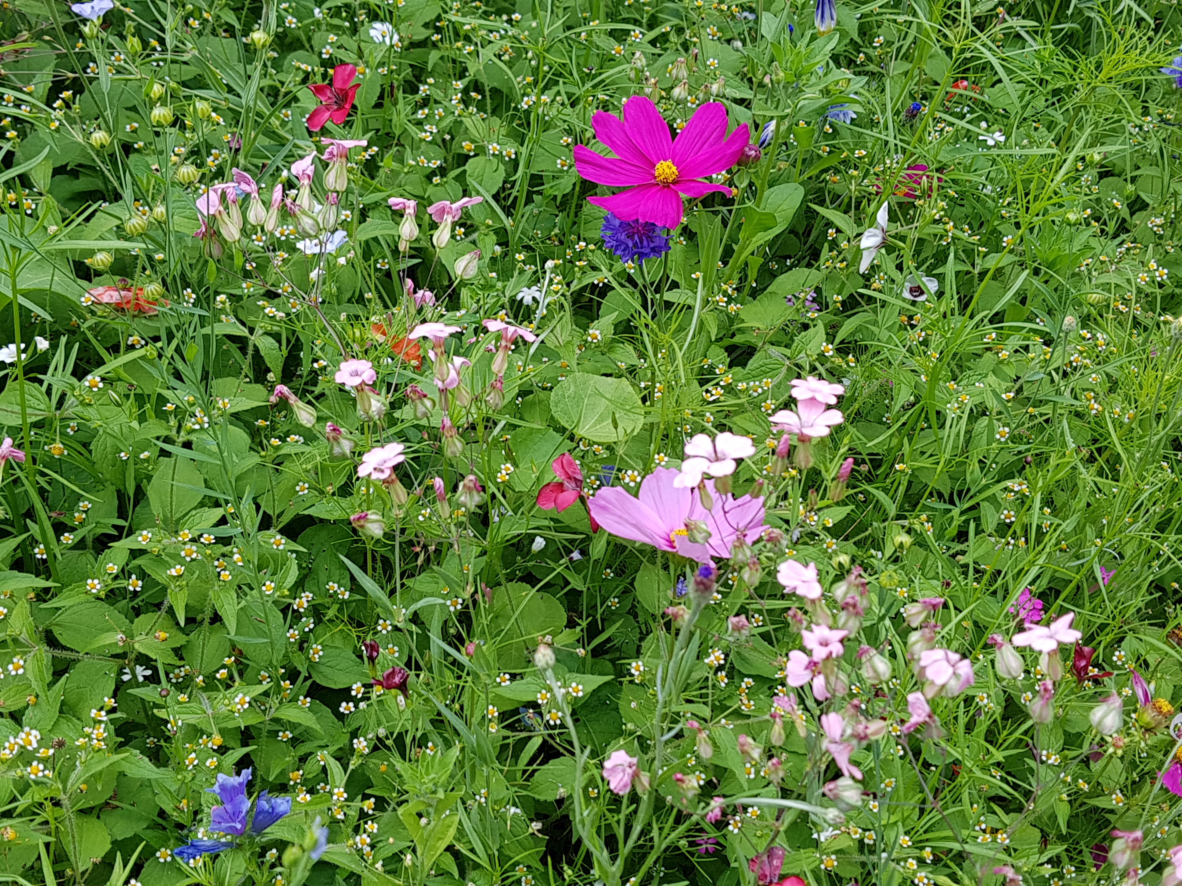 Ökumenische Seniorenfahrt Grabs