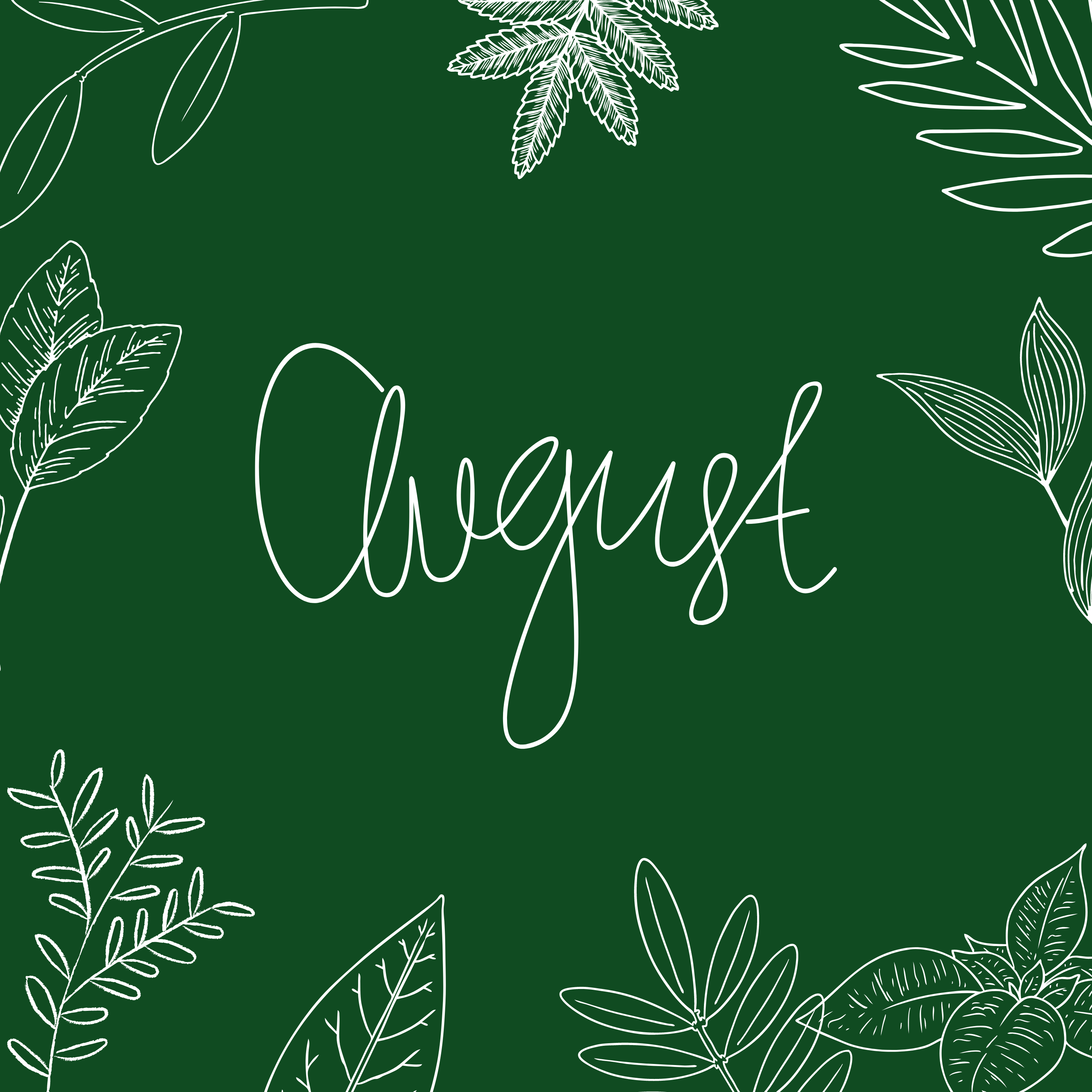 Höhepunkte im August